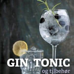 Gin, tonic og tilbehør (Bog)