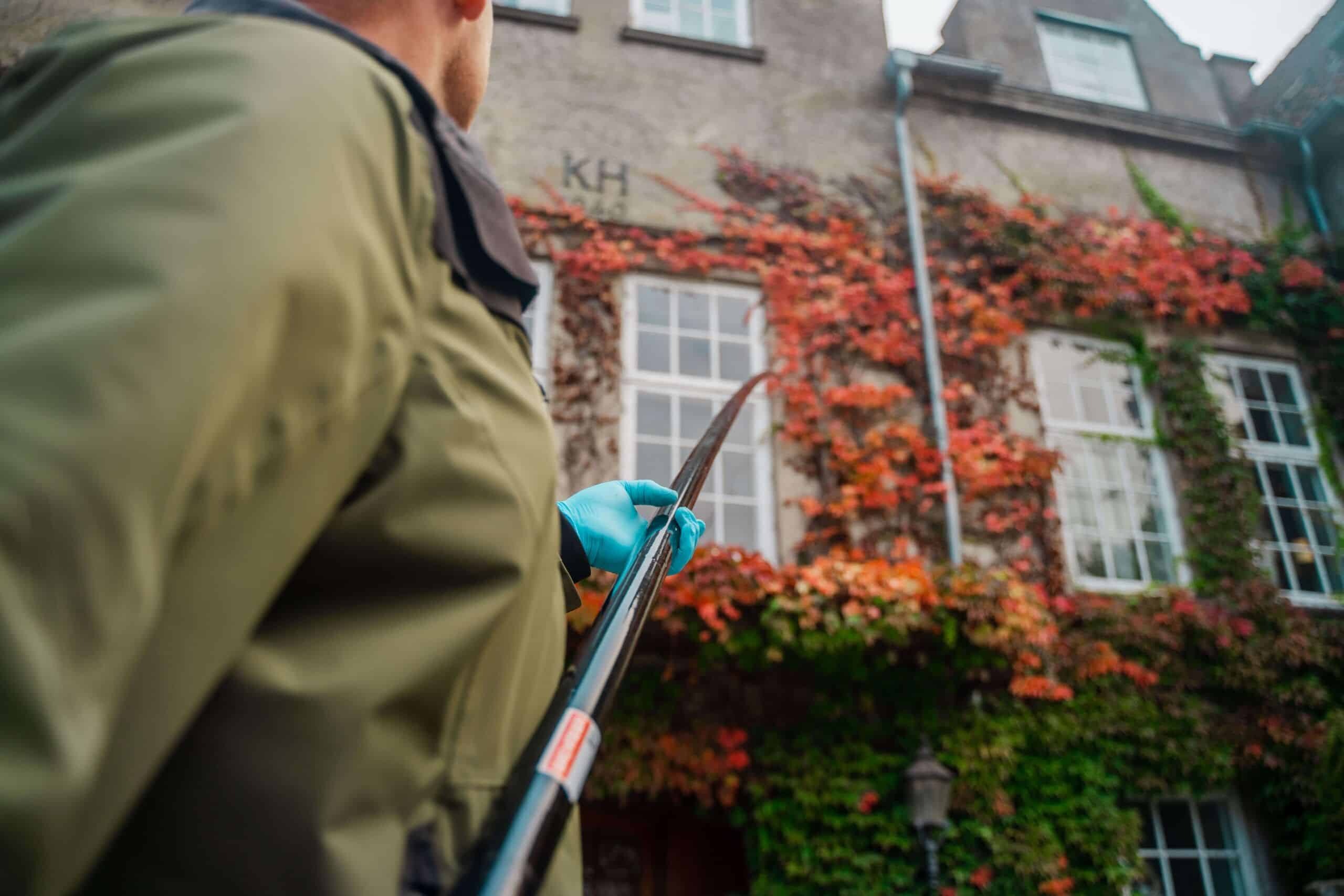 Hvepsefælder: Gør-det-selv guider til haven
