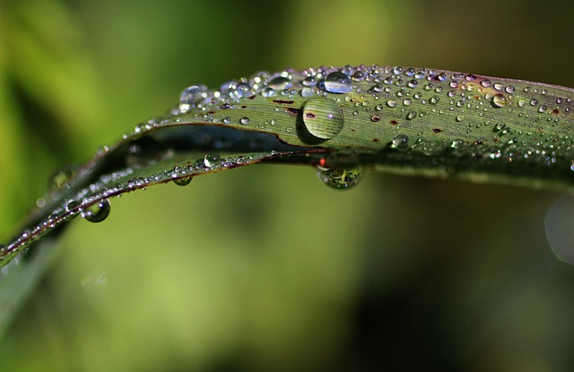 Forår på sardinien: Sådan er vejret i april