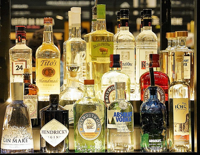 Sådan arrangerer du en vellykket gin og tonic-aften hjemme